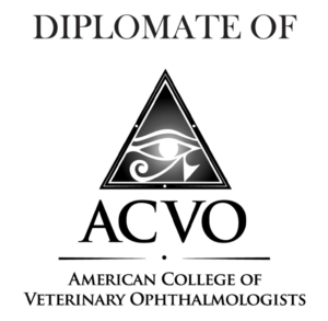 ACVO.jpg--18731873-