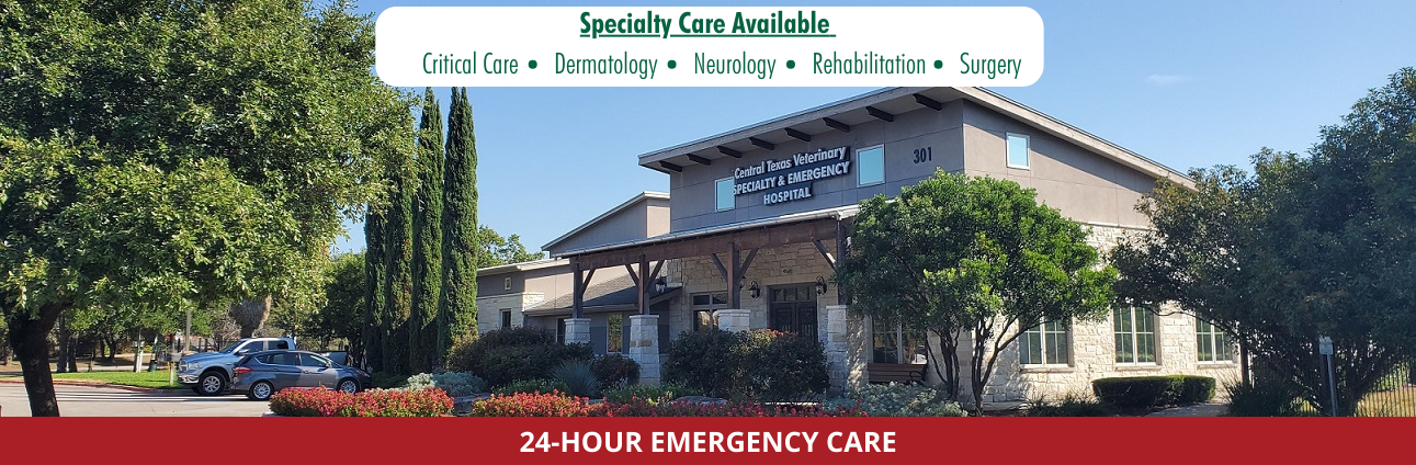 Emergency Animal Hospital South