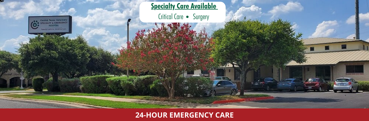 Home - Central Texas Veterinary Specialty & Emergency Hospital