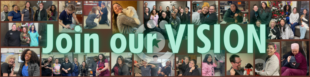 Collage-style banner featuring photos of CTVSEH staff members interacting with animals, with the phrase “Join our vision” in bold green letters at the center.