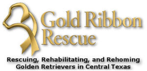 Gold-Ribbon-Rescue