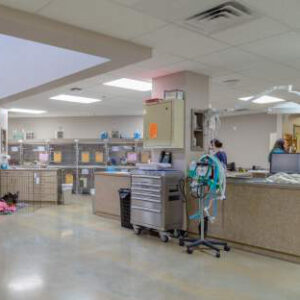 View of the North treatment area at Central Texas Veterinary Specialty & Emergency Hospital, showing medical equipment, exam tables, and a clean, well-organized clinical environment.