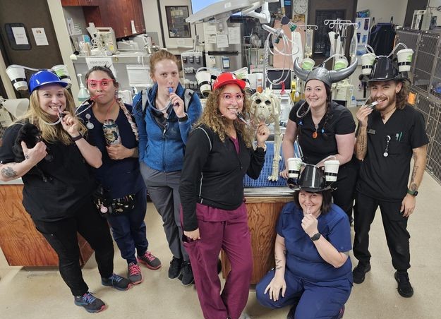 CTVSEH team members posing together while wearing drink hat helmets, smiling and having fun in a group photo.