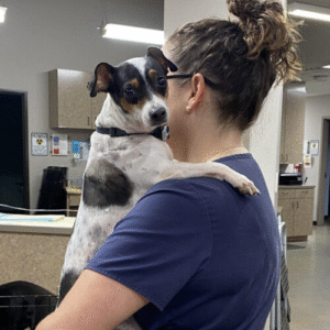 Polly Antalffy looking away while holding a white, brown, and black colored dog that is looking directly at the camera.