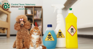 pets and chemicals