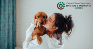 puppy hug image
