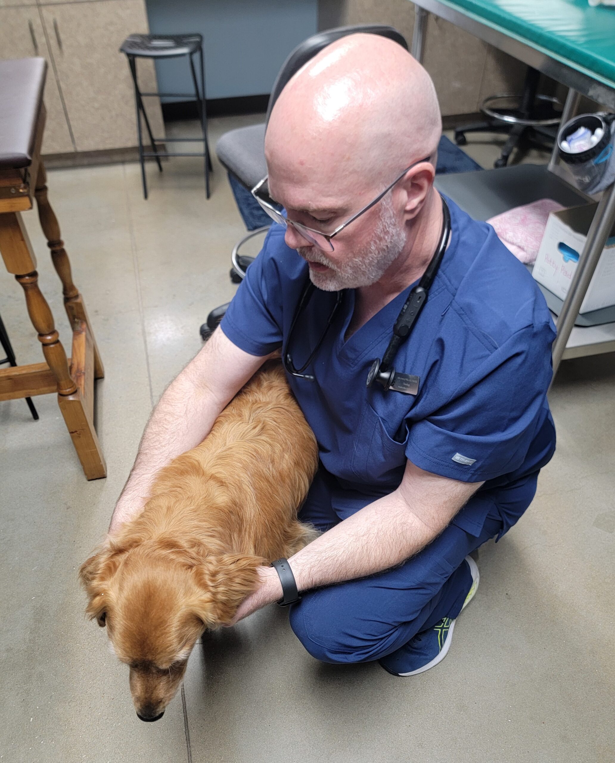 Oncology - Central Texas Veterinary Specialty & Emergency Hospital